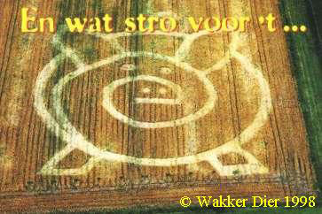 Coploe Hill, Cambridgeshire crop circle, aerial photo 11